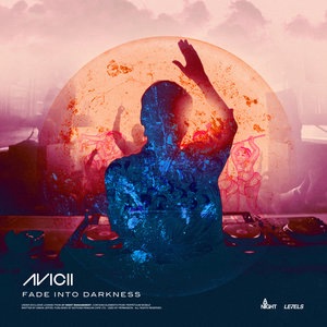 Avicii 17