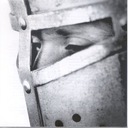 Still Learning to Fly