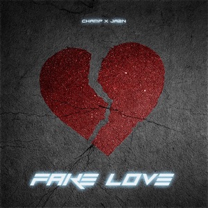 Fake Love