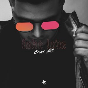 Fake Love