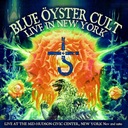 E.T.I. (Extra Terrestrial Intelligence)