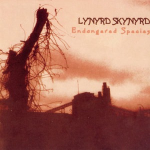 Lynyrd Skynyrd 22