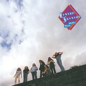 Lynyrd Skynyrd 20