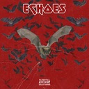 Echoes