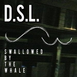 D.S.L.