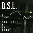 D.S.L.