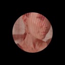 Dance in Your Wishes