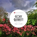 Ca, C’est L’Amour