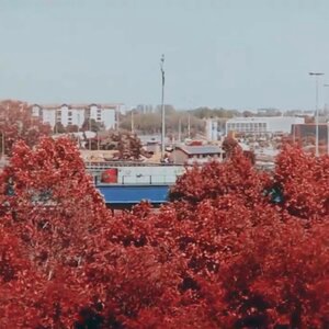 Gli occhi di chi ha fatto il vietnam 1