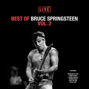 Bruce Springsteen 4