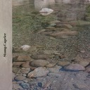 Back In Your Own Backyard