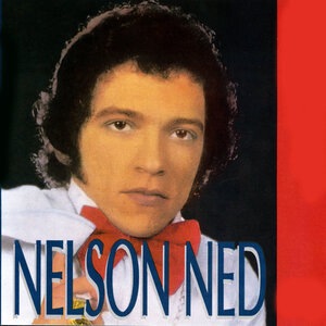 Nelson Ned 2