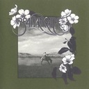 A Fire In The Forest