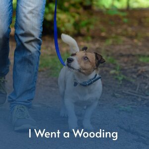 A Headache Tomorrow or a Heartache Tonight