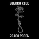 20.000 Rosen