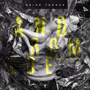 Brice Turner 1