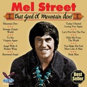 Angel With A Broken Wing