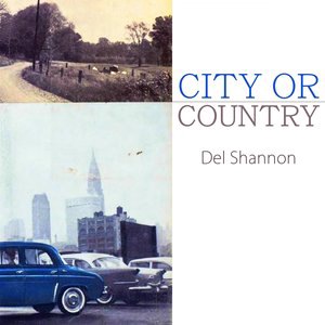 Del Shannon 18