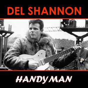 Del Shannon 13