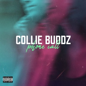 Collie Buddz 12