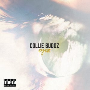 Collie Buddz 10