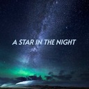 I'll Never Say ' Never Again ' Again