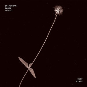 The Flora And Fauna Of Britain In Bloom