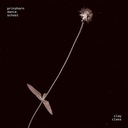 Your Fire Has Gone Out