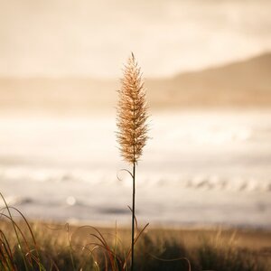 Smiling At Strangers