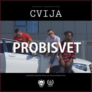 Cvija 5