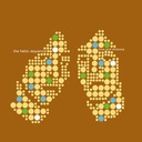 Looks Good (But You Looked Away)