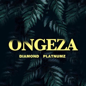 Diamond Platnumz 21