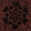 What to Do When Awake Within a Dream