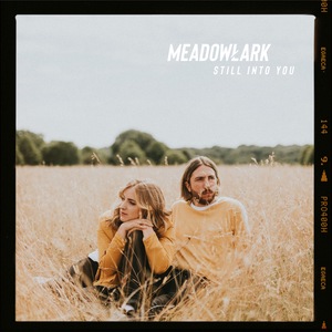 Meadowlark 6