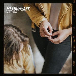 Meadowlark 5