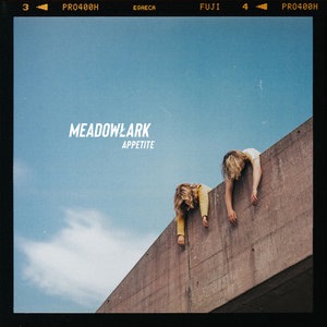 Meadowlark 4