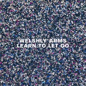 Welshly Arms 6