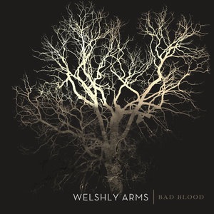 Welshly Arms 4
