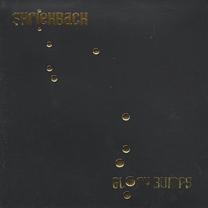 The Bride Stripped Bare