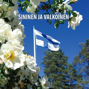 Neljän tuulen tiellä