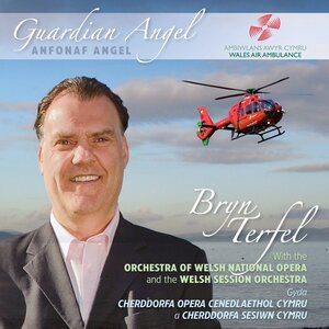 Bryn Terfel 5