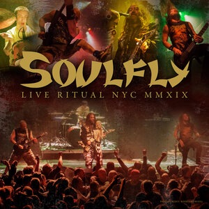 Soulfly 14