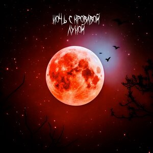 Ночь с кровавой луной