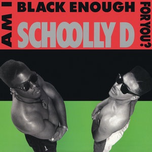 Schoolly D 6