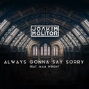 Always Gonna Say Sorry