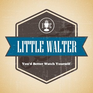 Me and My Chauffeur Blues