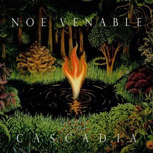 Feather and the Quill