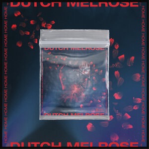 Dutch Melrose 3