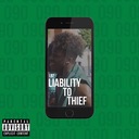 Liability to Thief
