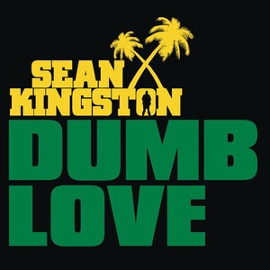 Sean Kingston 42